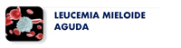 Leucemia Mieloide Aguda