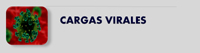 Cargas Virales