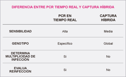 Papiloma Virus Humano