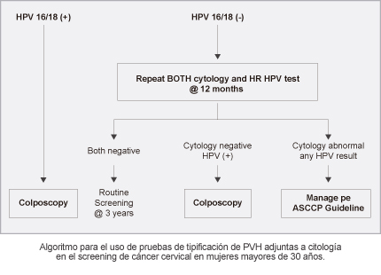 Papiloma Virus Humano